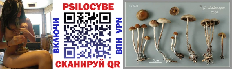 Псилоцибиновые грибы MAGIC MUSHROOMS  mega зеркало  Озёры 